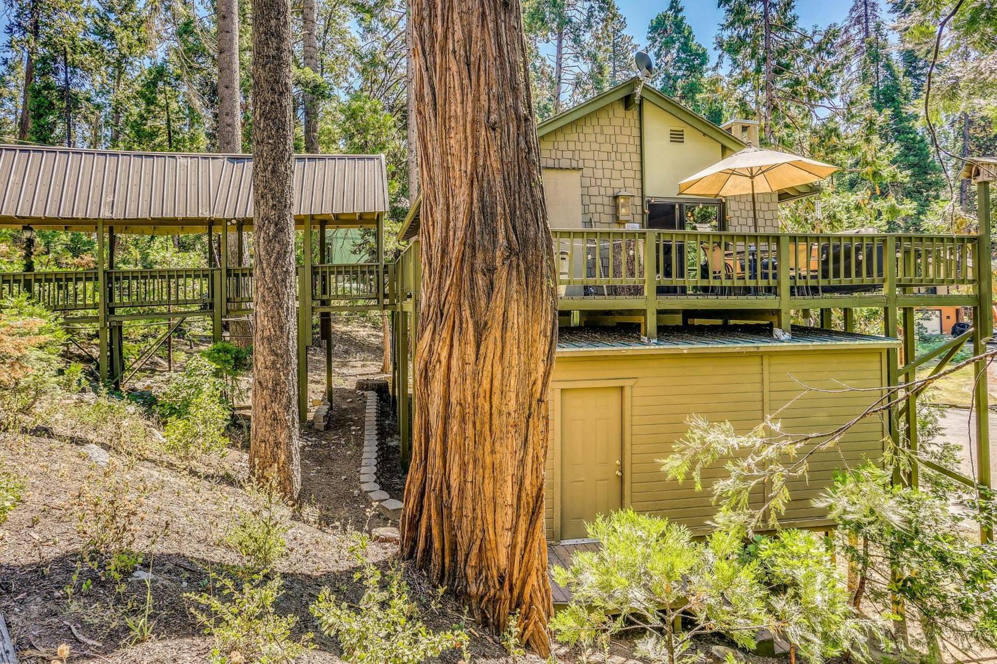 Cozy Bears Hideaway Cabin About 3 Mi To Shaver Lake! Kültér fotó